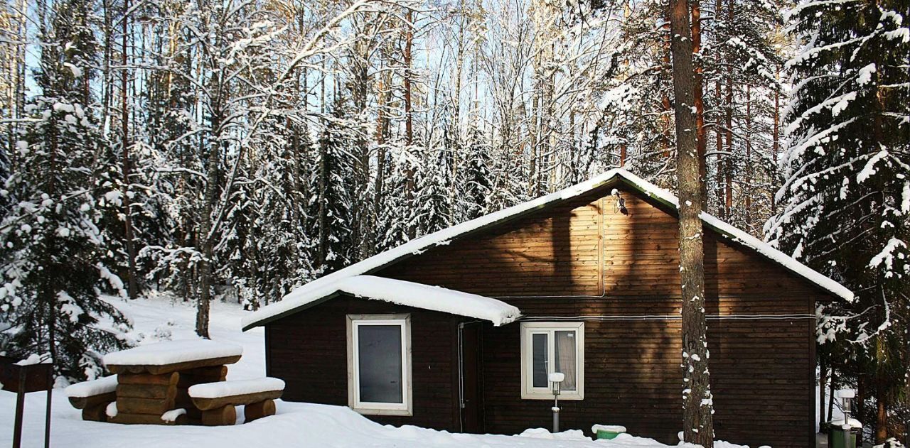 дом р-н Лужский д Большие Крупели Толмачевское городское поселение фото 3