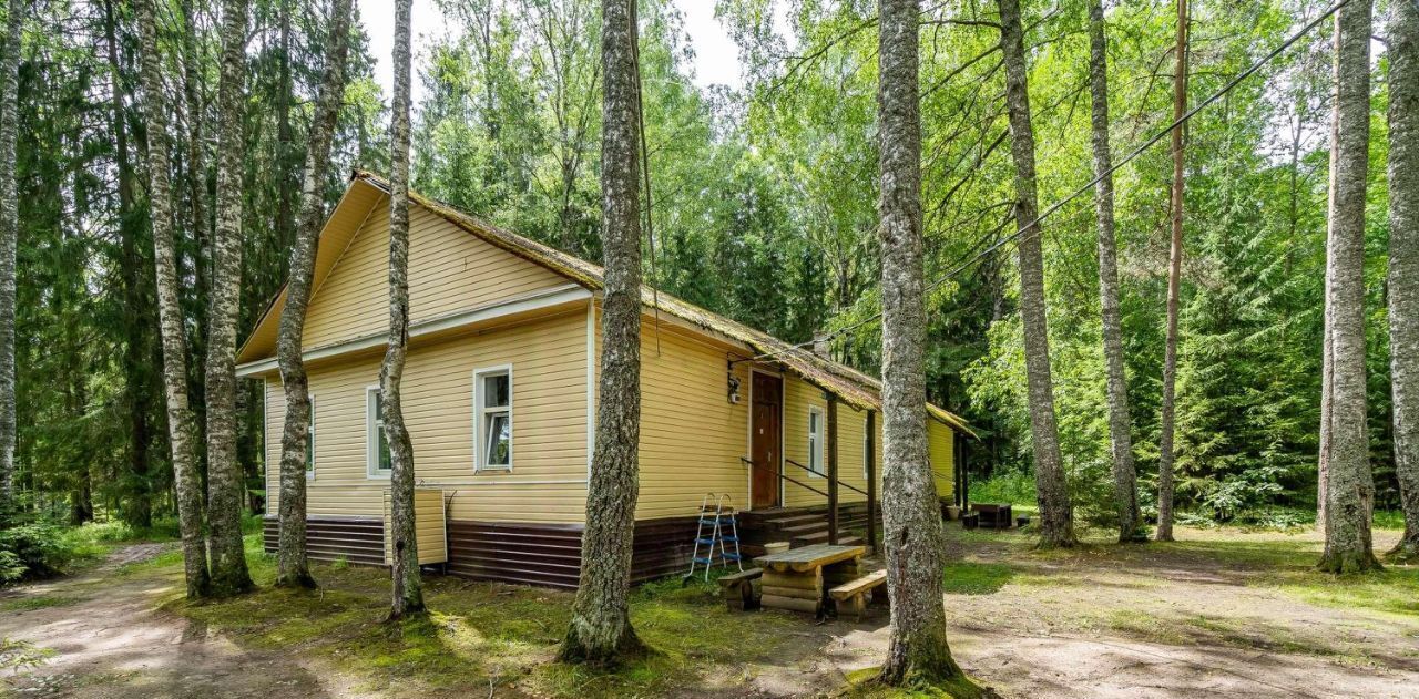 дом р-н Лужский д Большие Крупели Толмачевское городское поселение фото 6