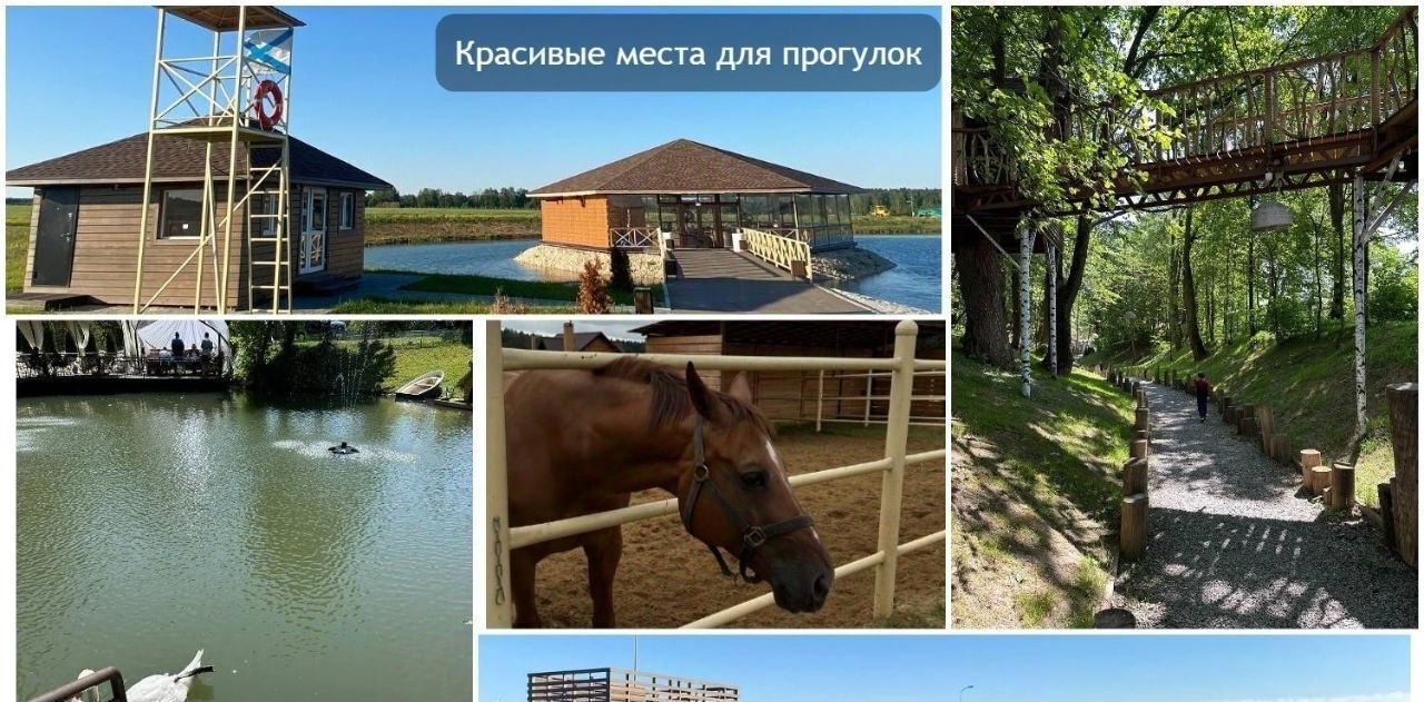 дом городской округ Ступино д Дубечино тер. ТСН Гринвуд ул Летняя 2е фото 2