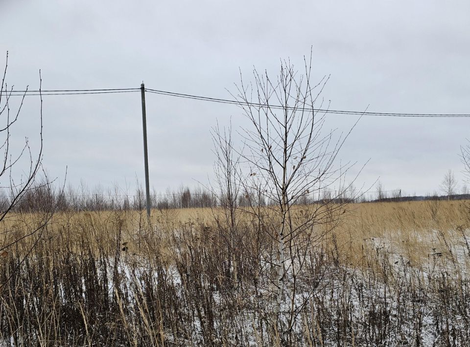 офис городской округ Луховицы п Совхоза Астапово ул. Лукина фото 1