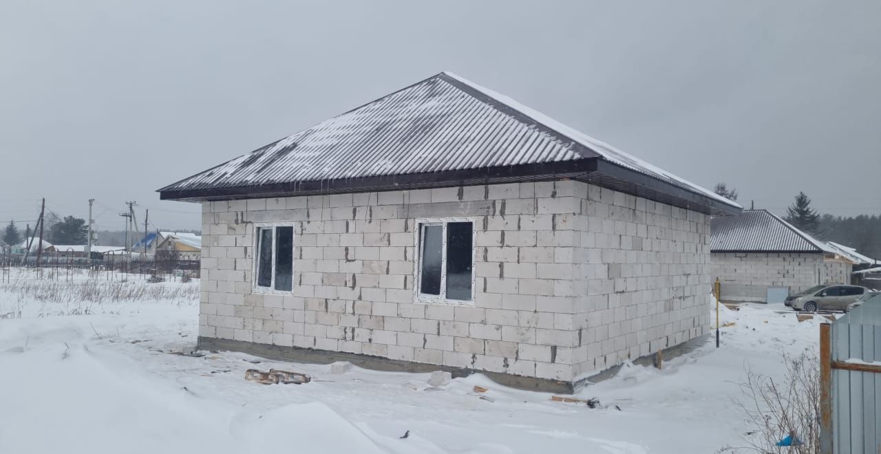 дом г Барнаул п Ягодное с Лебяжье р-н Центральный Центральный район фото 1