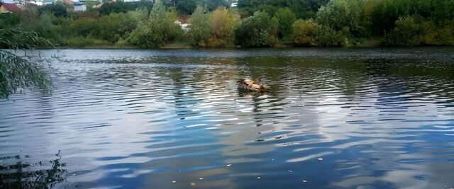 ул Нахимова 17 городское поселение Белорецк фото