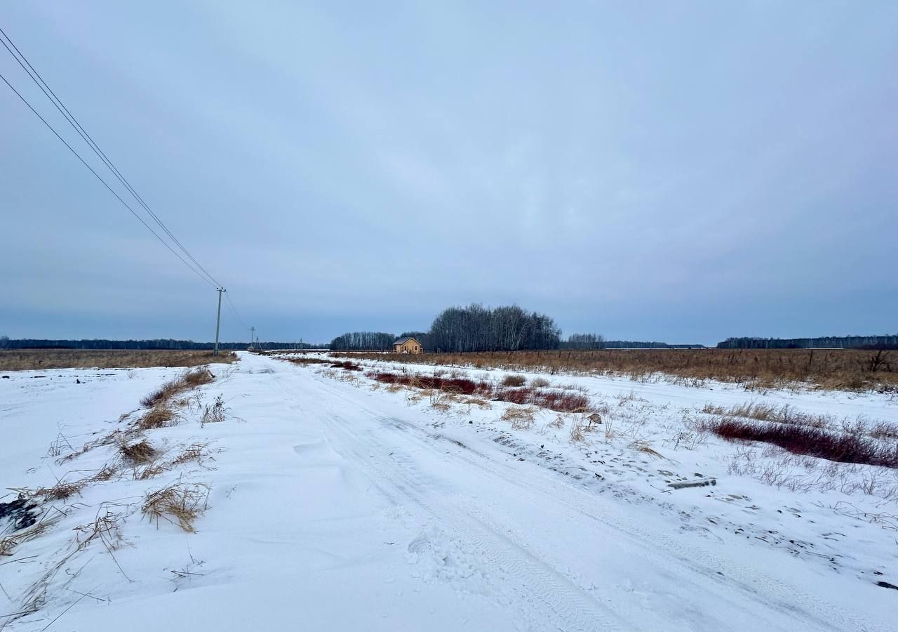 земля р-н Тюменский с Горьковка Тюмень фото 1