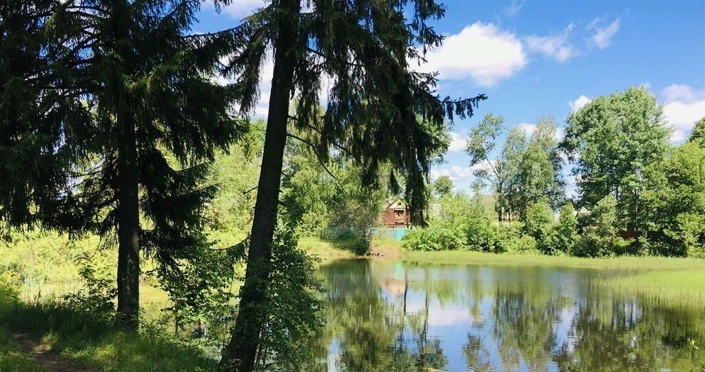 земля городской округ Дмитровский д Хлыбы фото 1