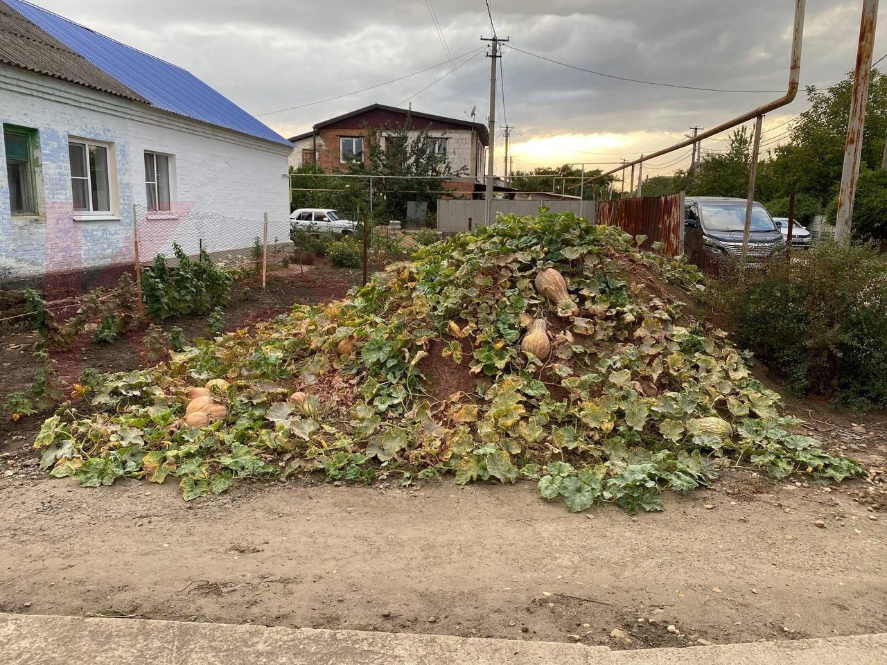 дом г Краснодар п Российский ул им. Комарова В.М. 78 р-н Прикубанский Прикубанский район фото 3