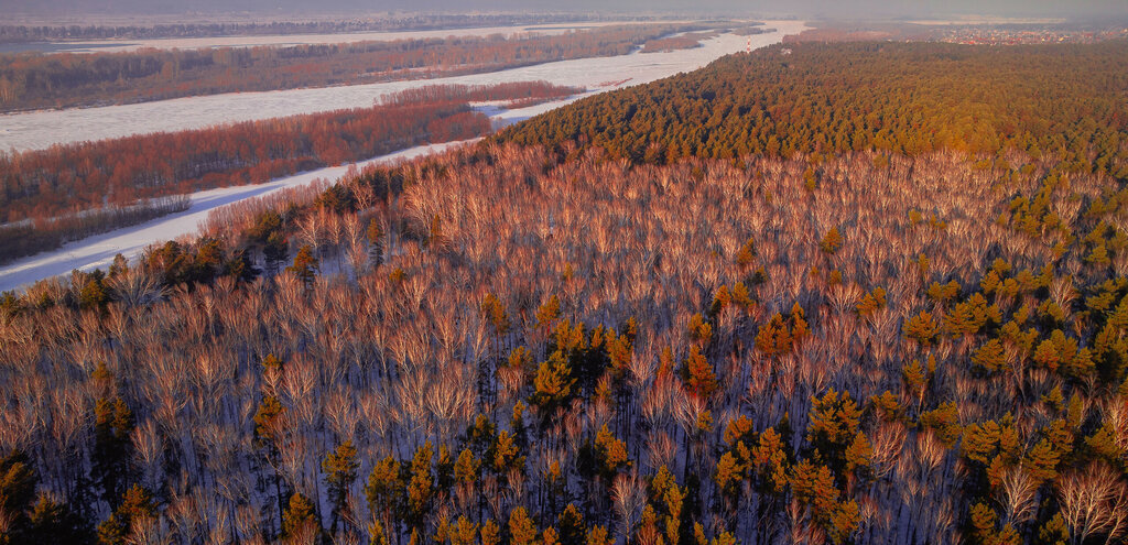 земля г Новосибирск р-н Заельцовский Заельцовская фото 7