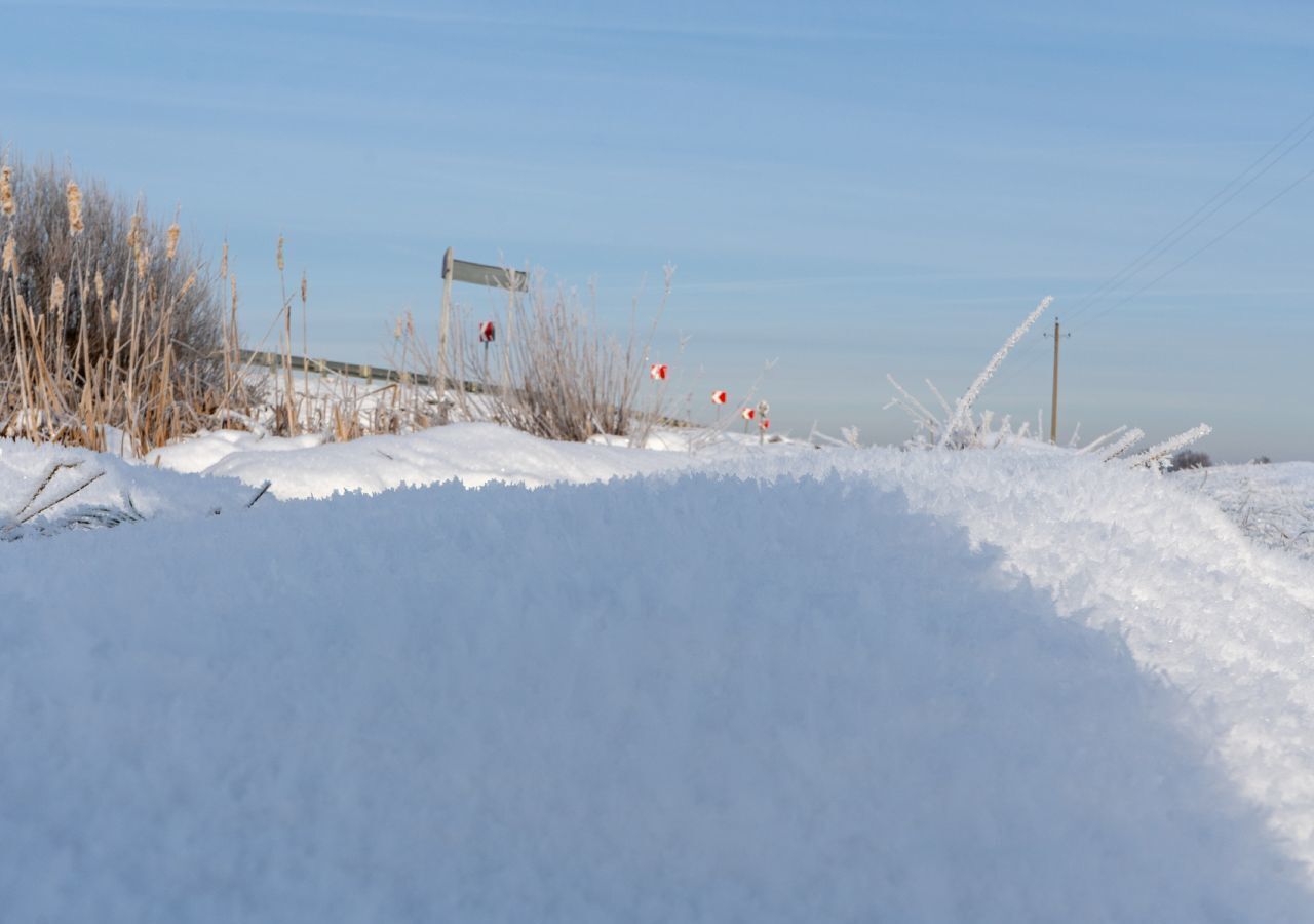 земля городской округ Шаховская с Белая Колпь ул Центральная 111 км, Новорижское шоссе фото 8