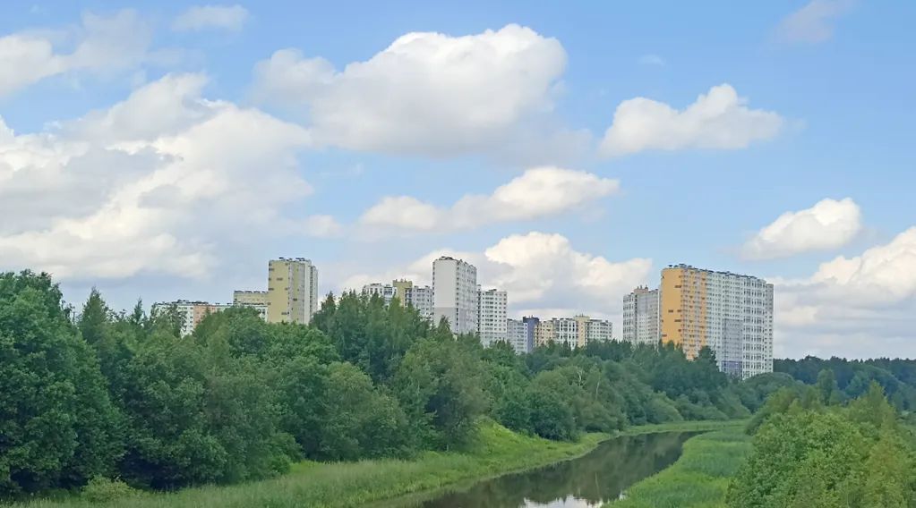 квартира г Санкт-Петербург метро Девяткино ул Пейзажная 30 округ Полюстрово фото 17