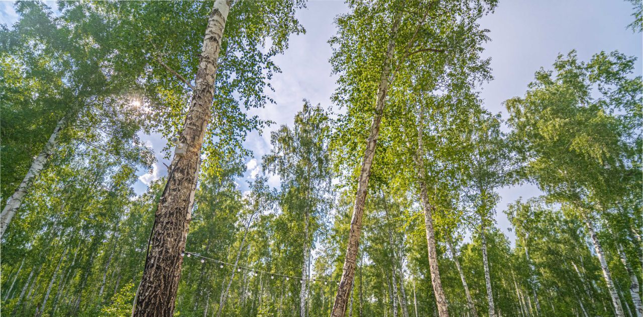 дом р-н Увельский д Ключи с пос, ул. Взлетная, 15, Сосновский район, Краснопольское фото 41