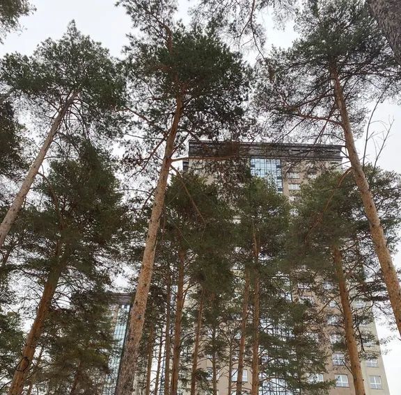 квартира г Новосибирск Гагаринская ул Богдана Хмельницкого 19/3 фото 12