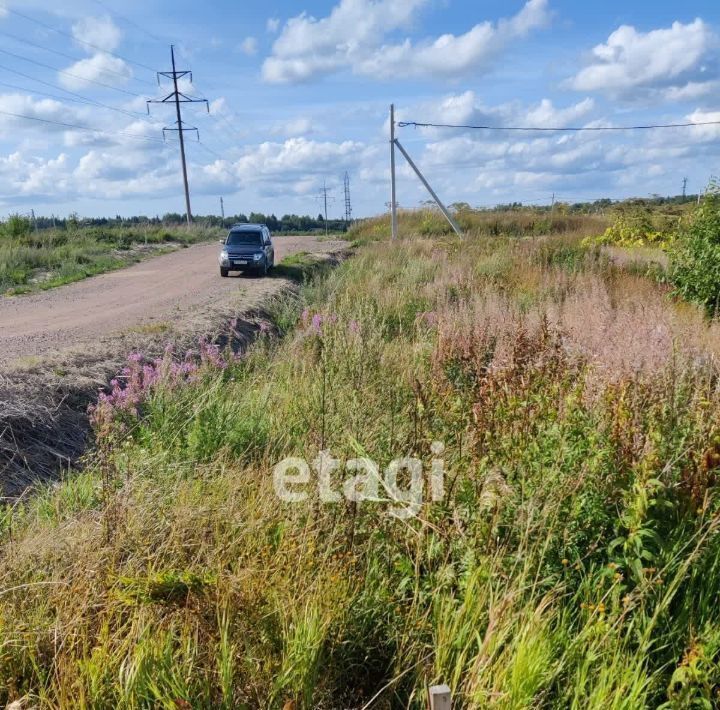 земля р-н Ломоносовский снт тер.Новое Заостровье Гостилицкое с/пос, аллея Центральная фото 3