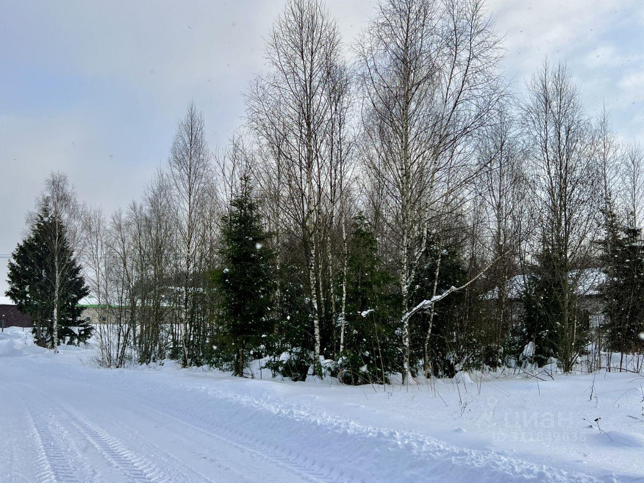 земля городской округ Дмитровский Пятьсот ОК кп, Лобня фото 1