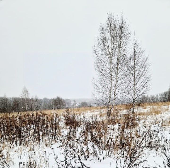 земля р-н Ленинский д Струково проезд 6-й, 6, Тула городской округ фото 3