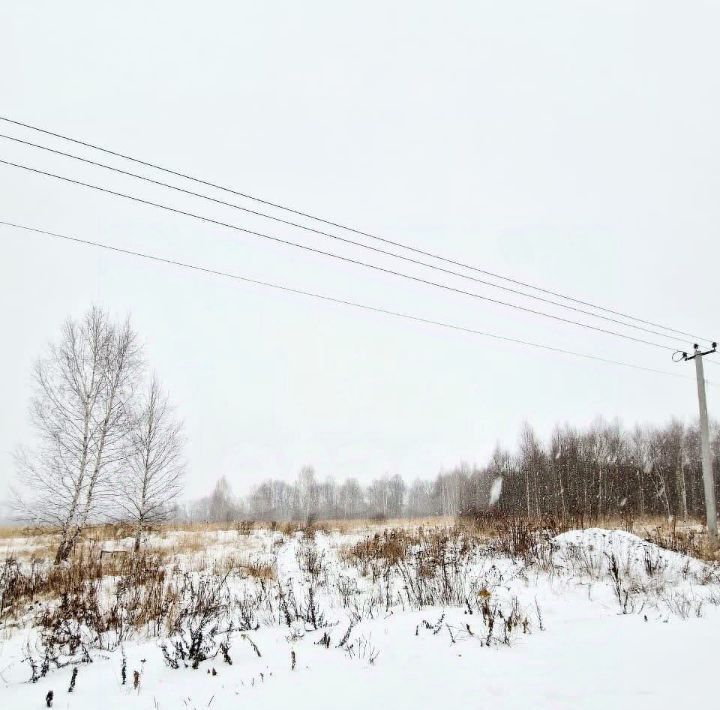 земля р-н Ленинский д Струково проезд 6-й, 6, Тула городской округ фото 4