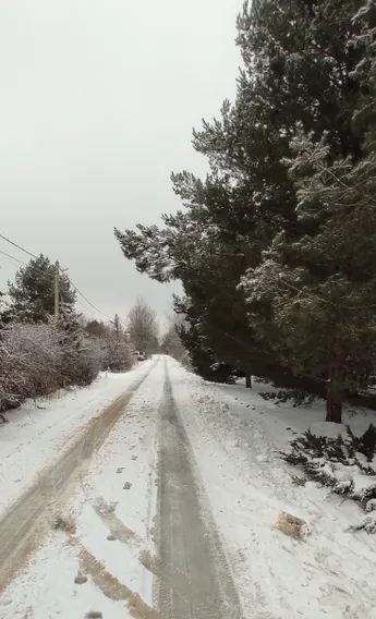 дом городской округ Можайский д Горетово ул Полевая 4 фото 9