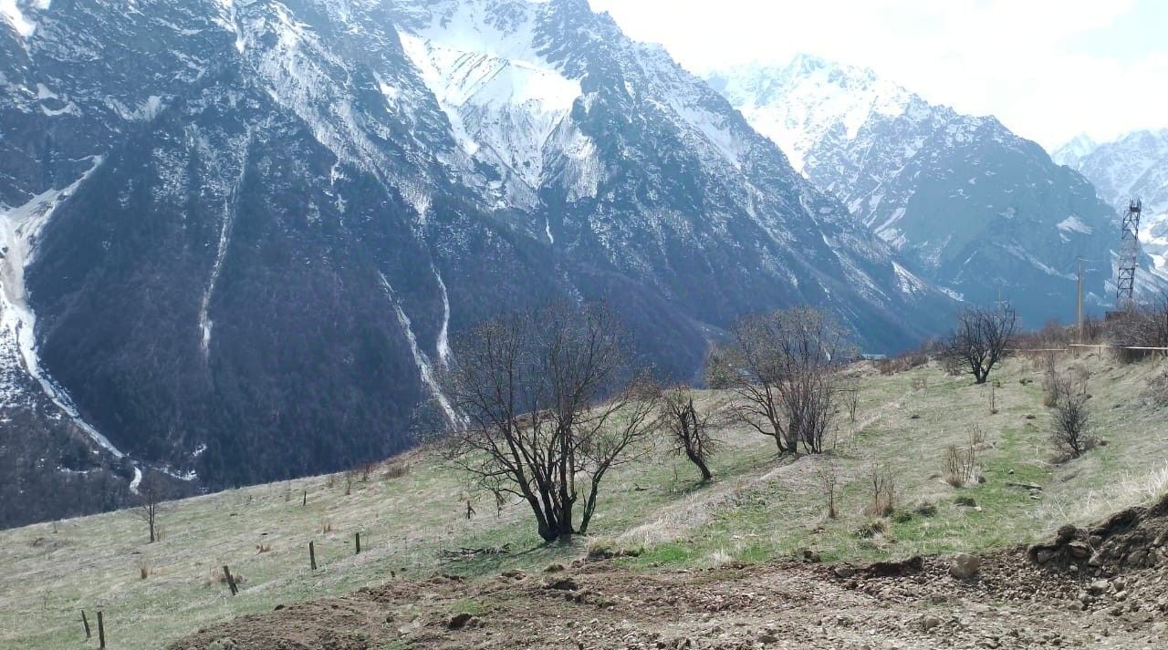 земля р-н Алагирский с Верхний Цей фото 4