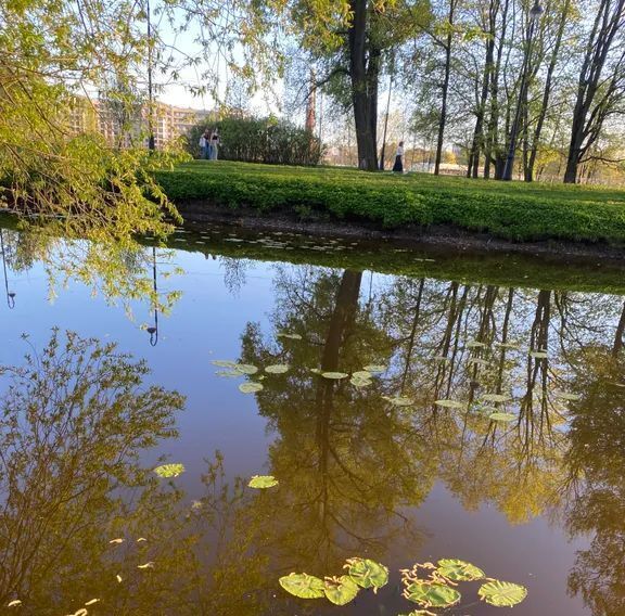 квартира г Санкт-Петербург метро Лесная пр-кт Большой Сампсониевский 70к/2 фото 13