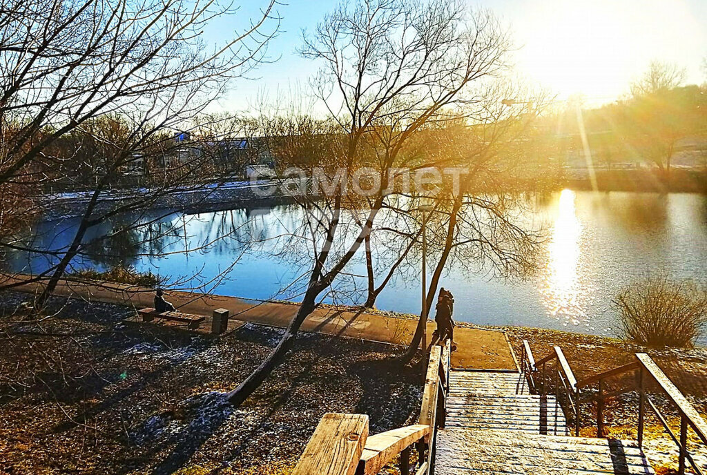 квартира г Москва метро Покровское ул Ягодная 8к/1 Московская область фото 29