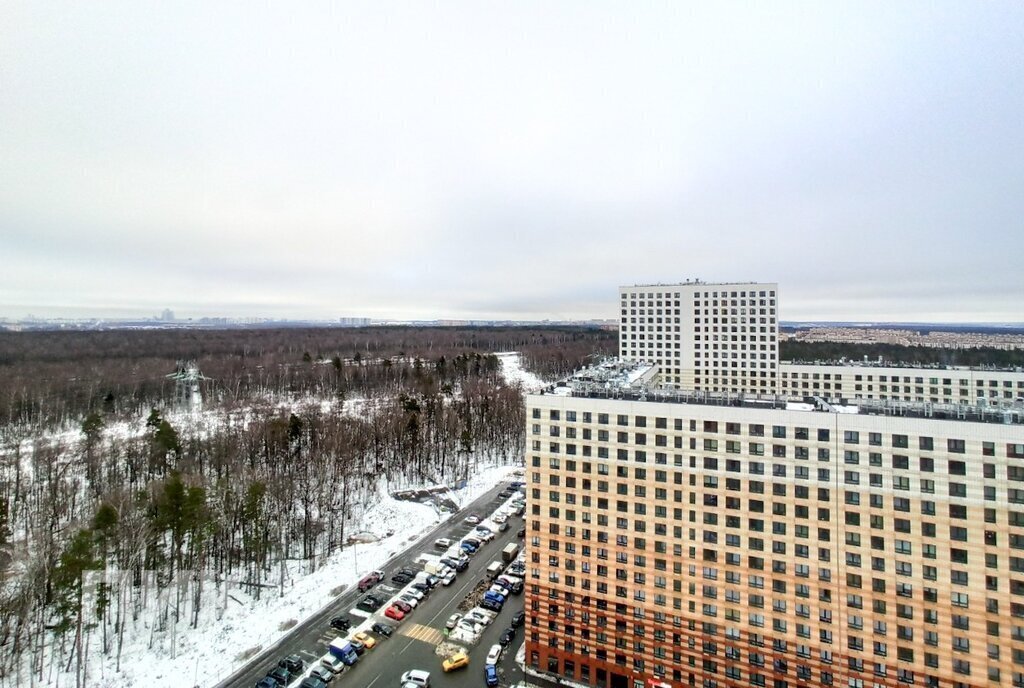 квартира городской округ Ленинский д Боброво ул Лесная 8 Бутово фото 9