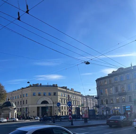 квартира г Санкт-Петербург метро Владимирская ул Большая Московская 11 Владимирский округ фото 17