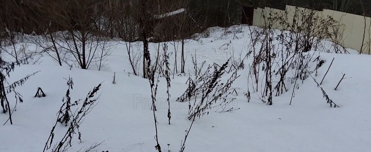 земля городской округ Пушкинский п Ашукино тропа, Радужная фото 2