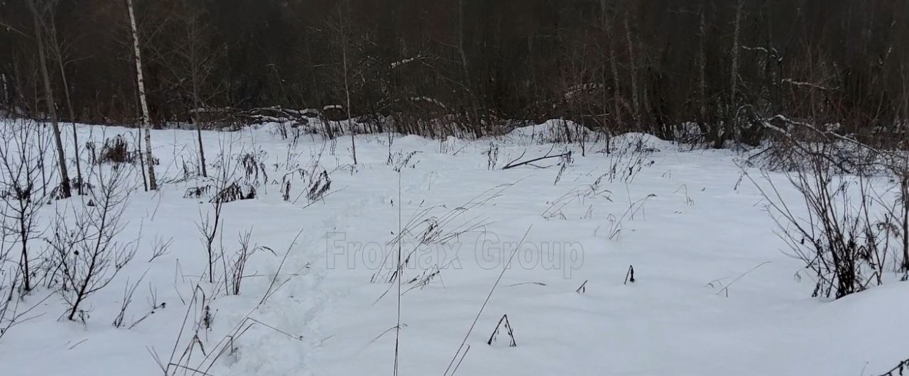 земля городской округ Пушкинский п Ашукино тропа, Радужная фото 3