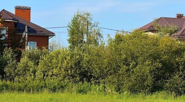 17, Пушкинский городской округ, Калистово кп фото