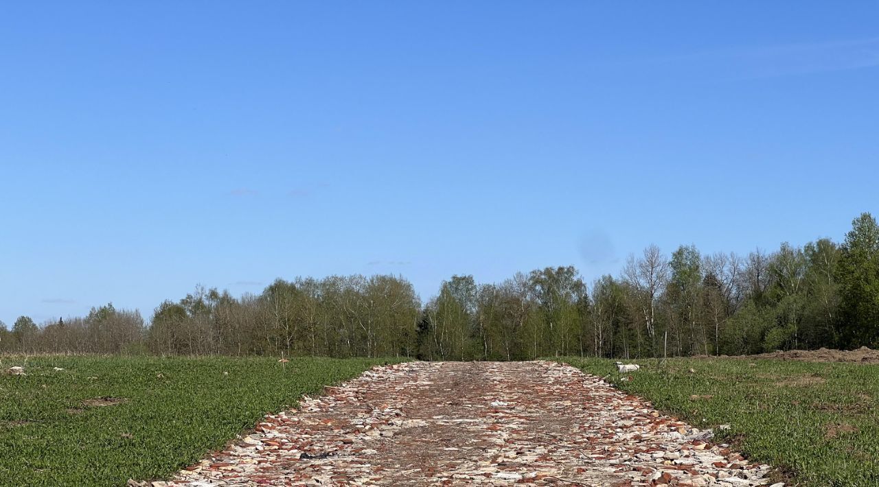 земля городской округ Истра д Карцево 81 фото 12