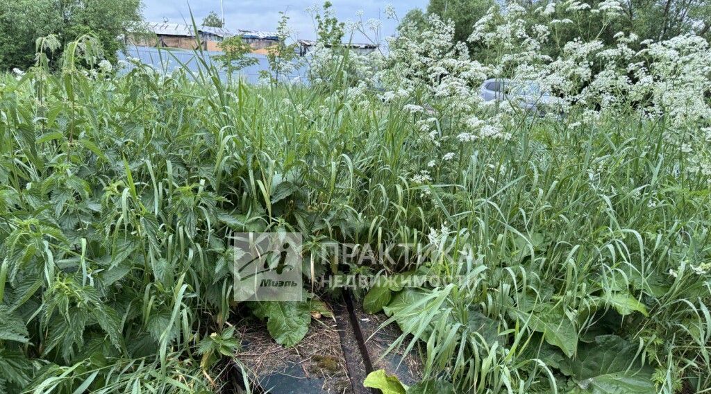 земля г Москва п Марушкинское д Марушкино Новомосковский АО Марушкинское Толстопальцево, 96 фото 6