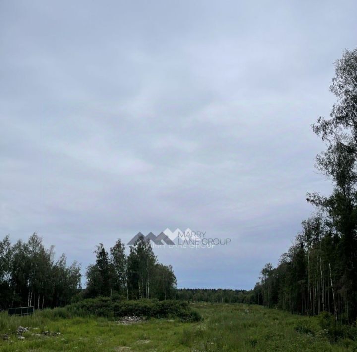 офис городской округ Наро-Фоминский ЗАО Элинар тер., 17 фото 12