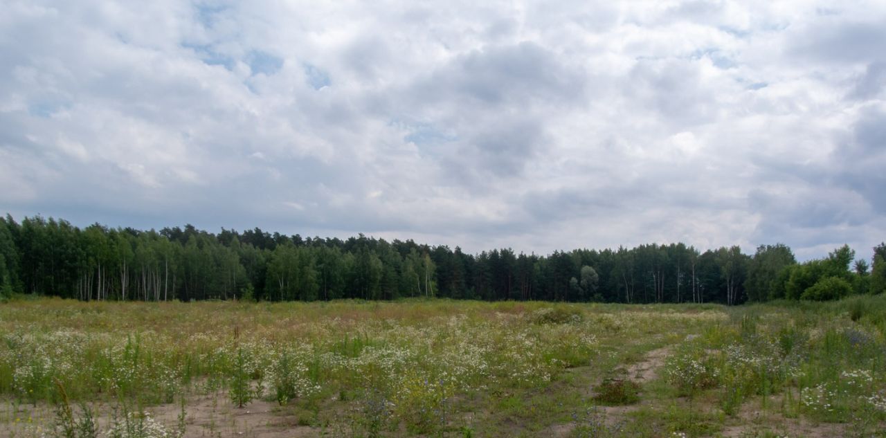 офис городской округ Богородский г Ногинск фото 1