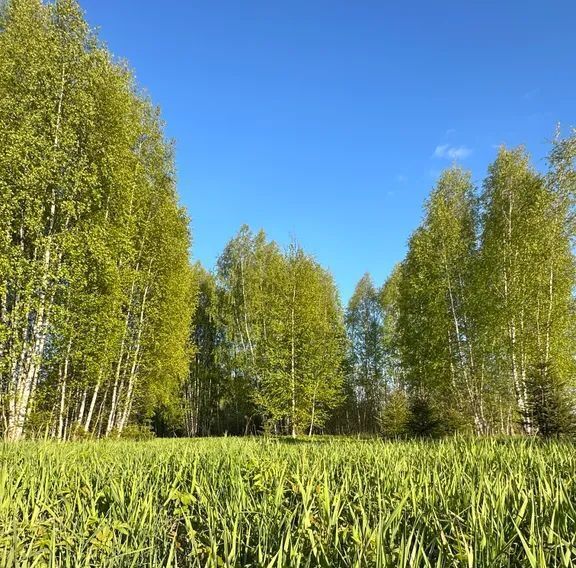 дом городской округ Солнечногорск д Логиново ул Набережная 4 фото 47