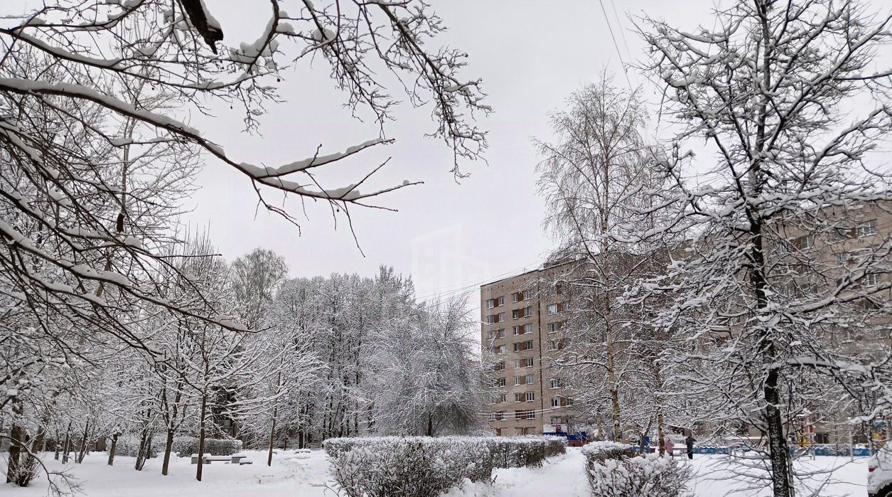 квартира г Санкт-Петербург метро Площадь Ленина пр-кт Полюстровский 9 Финляндский округ фото 18