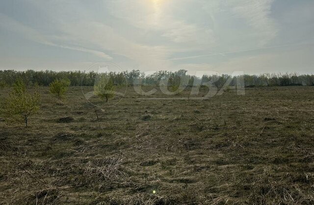 товарищество с ограниченной ответственностью Плодовое фото