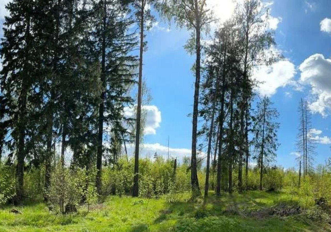 земля городской округ Щёлково д Мишнево ул Садовая 97а 30 км, Фрязино, Щёлковское шоссе фото 19