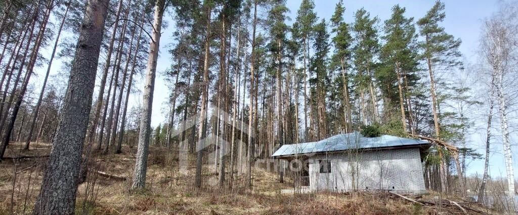 офис р-н Выборгский п Михалево Каменногорское городское поселение фото 8