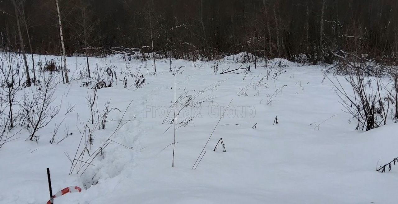 земля городской округ Пушкинский 9762 км, д. Артёмово, Ярославское шоссе, Ашукино фото 3