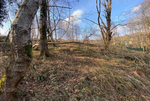 с Верхнениколаевское с Илларионовка р-н Адлерский пер Западный 14 фото