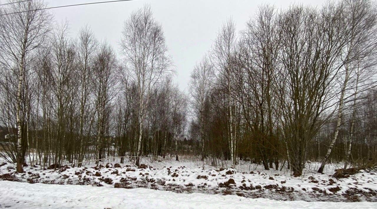 земля городской округ Чехов д Большое Петровское ул Славянская Петровское Парк кп фото 1