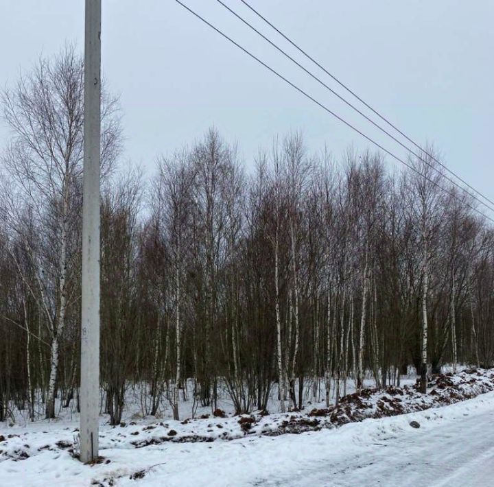 земля городской округ Чехов д Большое Петровское ул Славянская Петровское Парк кп фото 2