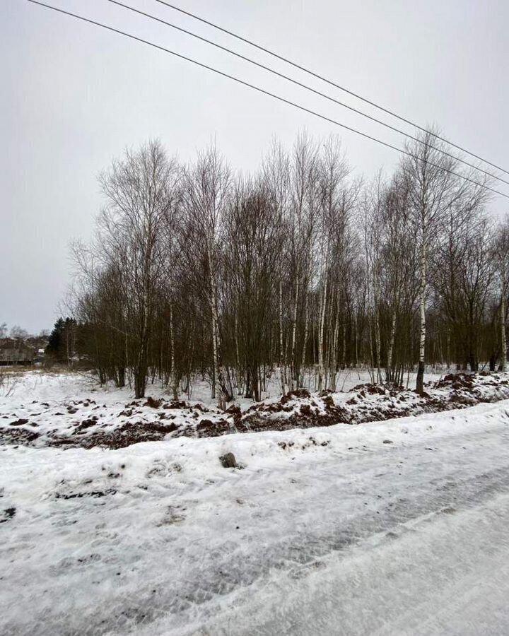 земля городской округ Чехов д Большое Петровское 43 км, Чехов, Симферопольское шоссе фото 3