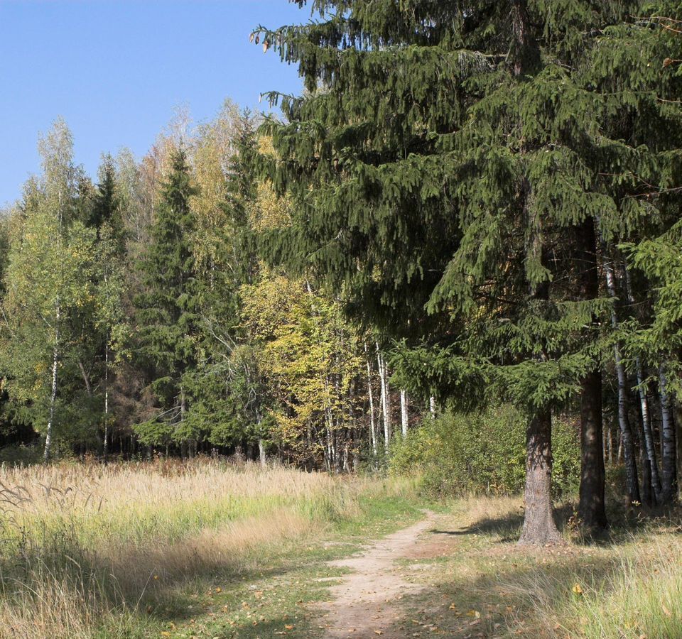 земля городской округ Можайский д Тетерино 89 км, Можайск, Минское шоссе фото 8