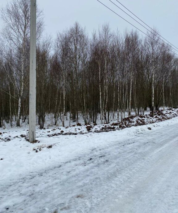 земля городской округ Чехов д Большое Петровское фото 2