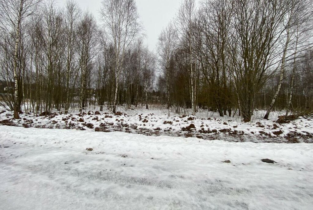 земля городской округ Чехов д Большое Петровское фото 1