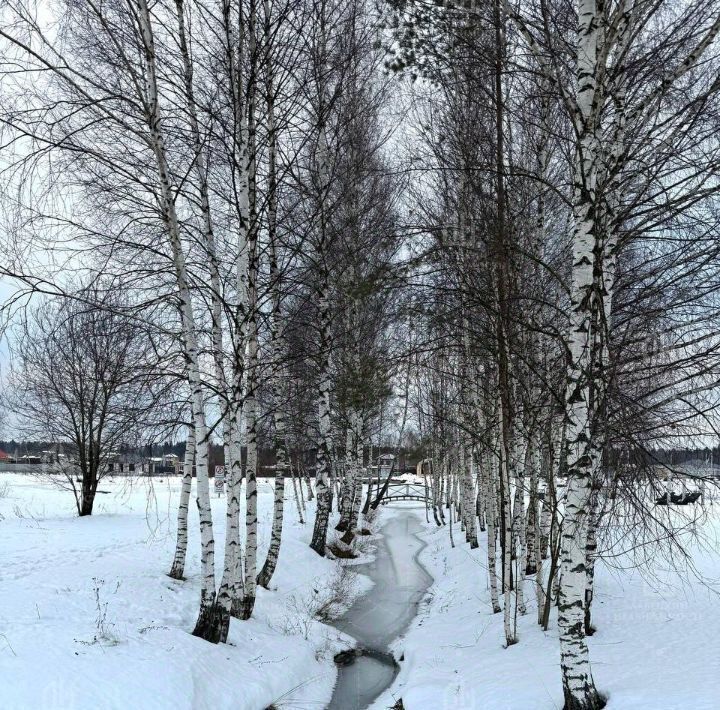 дом городской округ Солнечногорск д Задорино фото 20