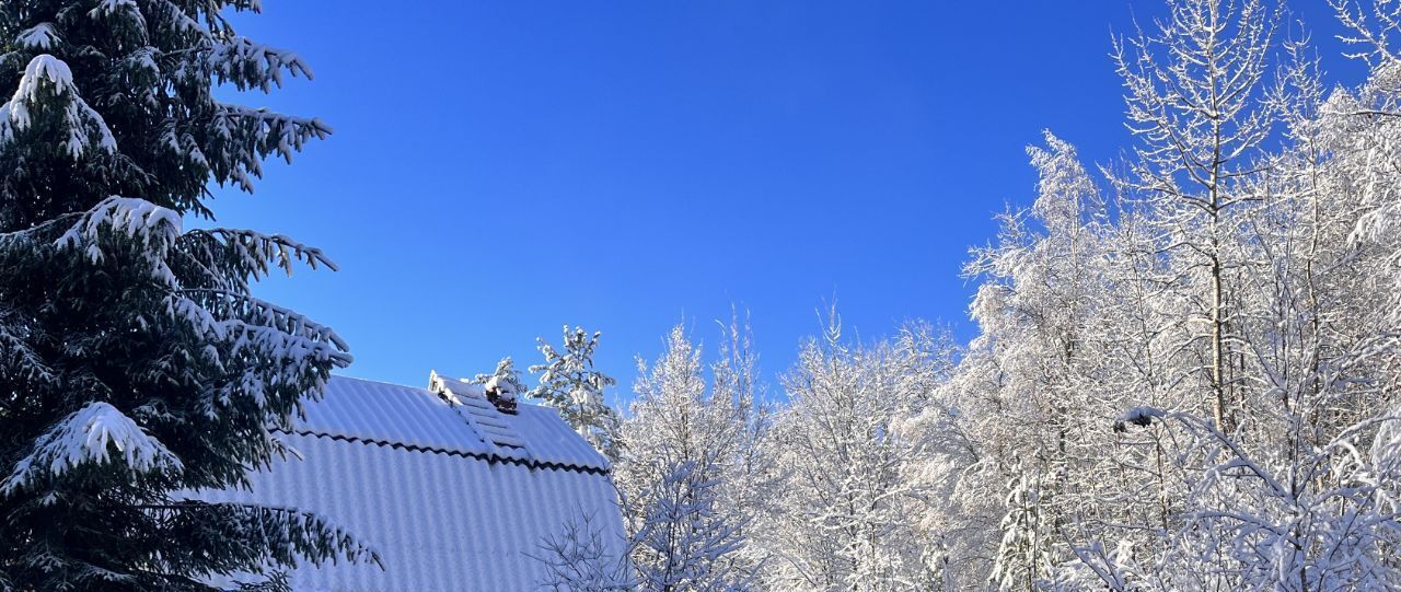 дом р-н Всеволожский снт Меркурий Морозовское городское поселение, 5-я линия фото 5