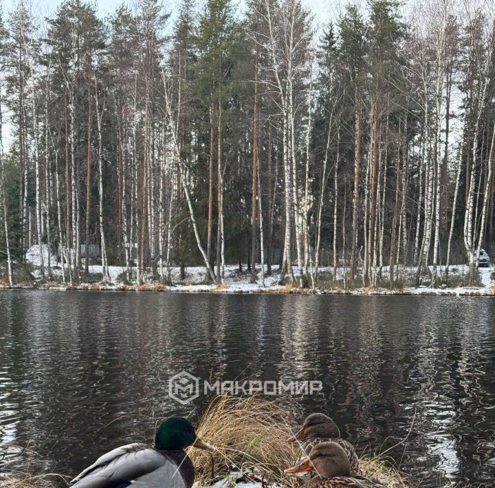 квартира р-н Всеволожский г Всеволожск проезд Пугоревский 1к/1 Ладожская фото 28