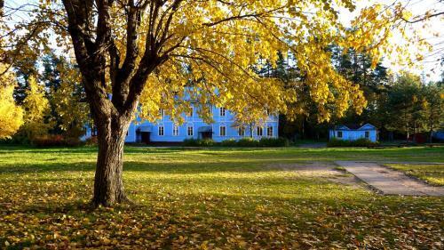 пр-кт Ручьевский 82 Петровское сельское поселение, Russia, Losevo, km, Priozerskoe Shosse, 188966 фото