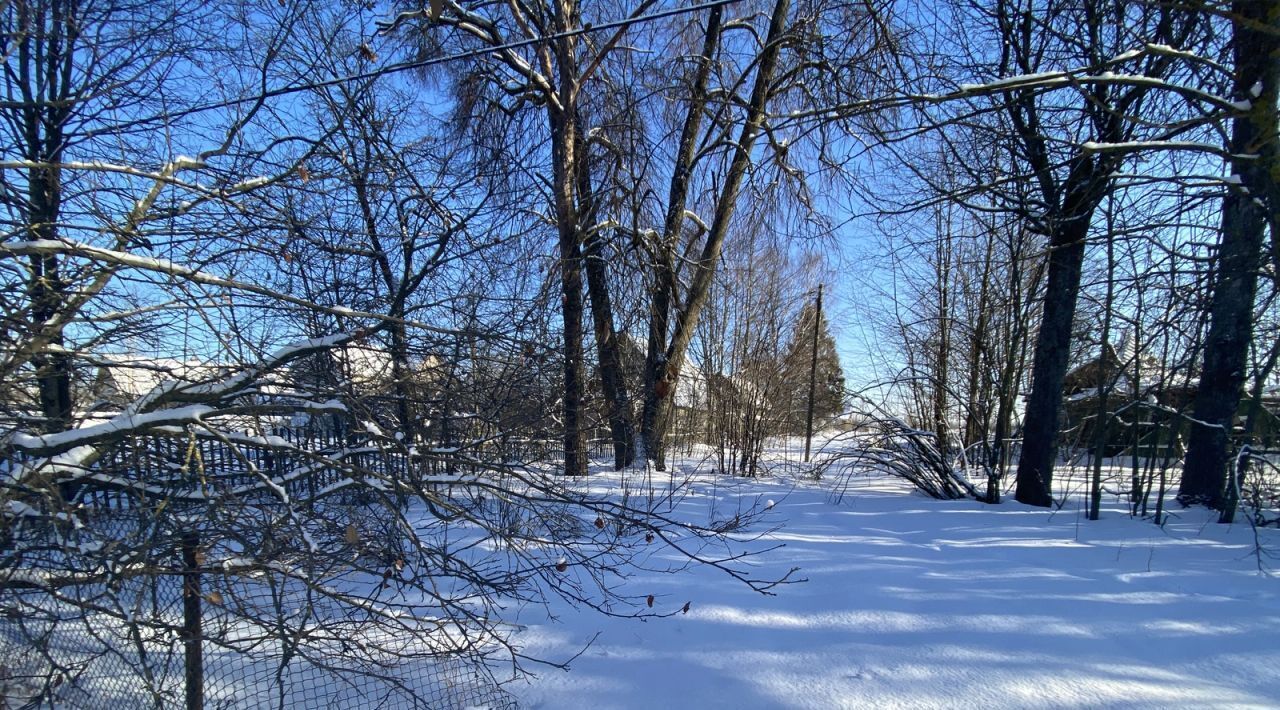 земля р-н Гатчинский с Рождествено пр-кт Большой 21 фото 21