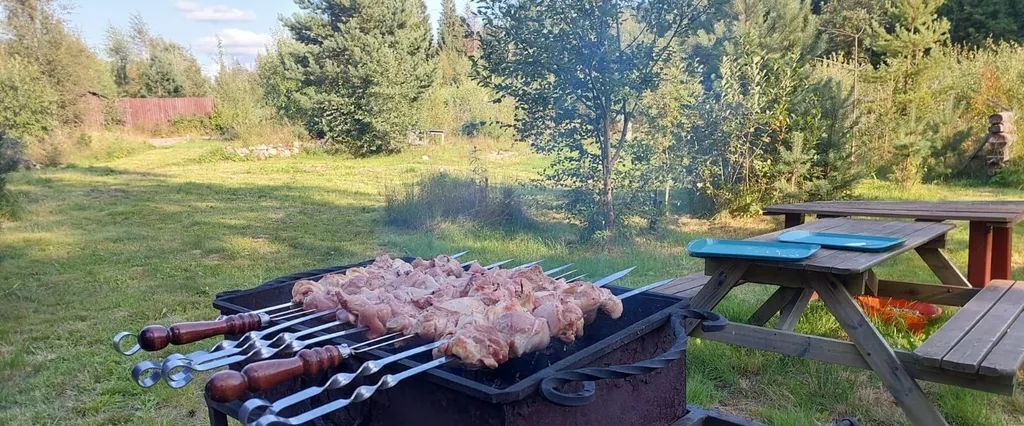 дом р-н Выборгский п Коробицыно Птицевод СНТ, 407, Красносельское с пос фото 24